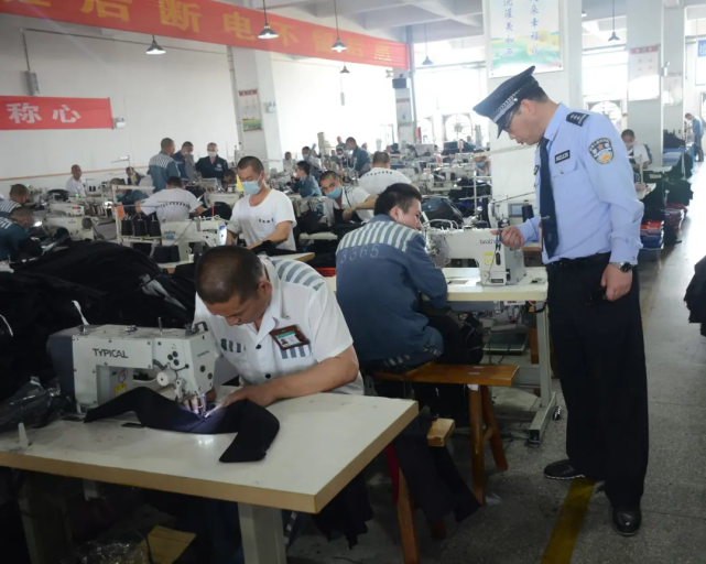 在监狱里，能学到哪些技能？