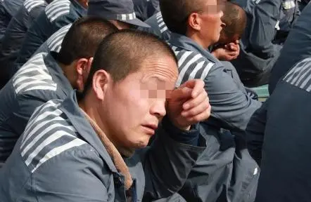 服刑之后，能收获什么？