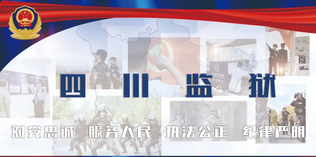 拒不履行财产性判项，罪犯在刑满释放后可能会承担什么不利后果？