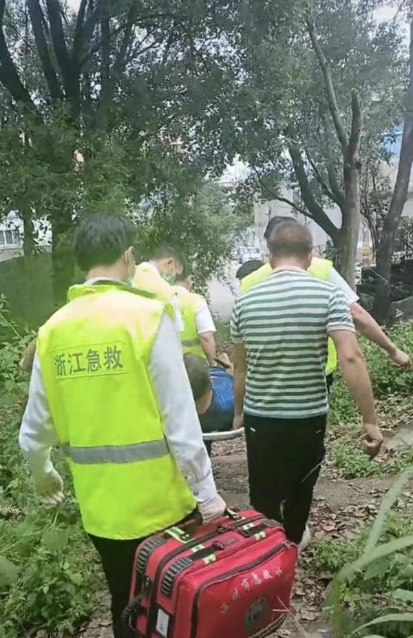 温州4起摘杨梅坠树警情，2人心跳停止，提醒注意采摘安全