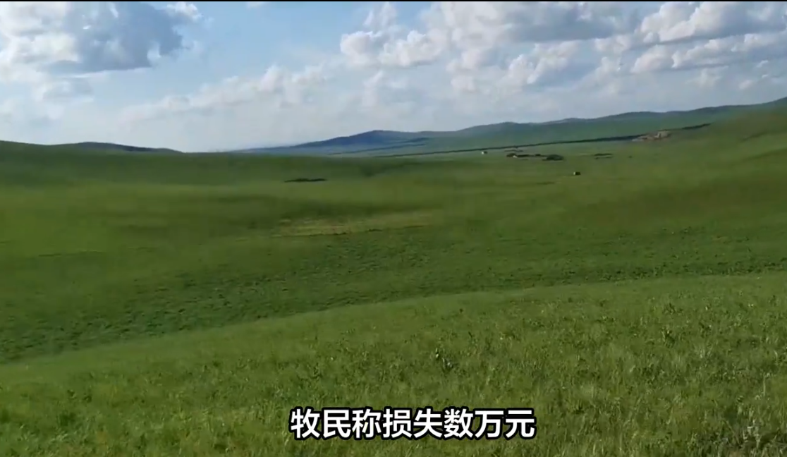 游客开车压草场牧民损失数万