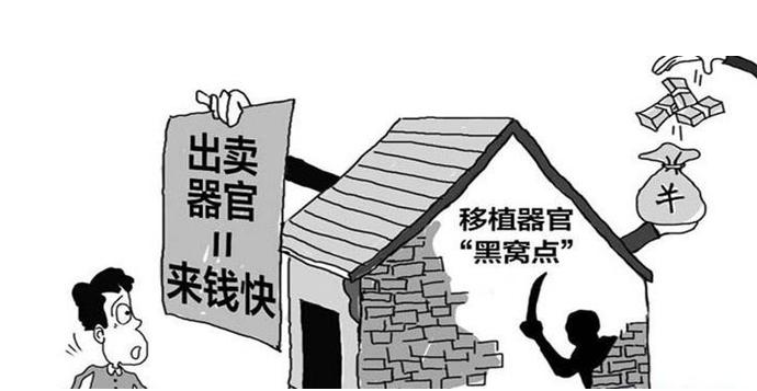 组织出卖人体器官罪--刑法条目第234条之1第1款