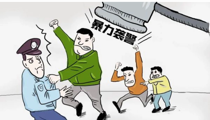 袭警罪-刑法条目第277条5款