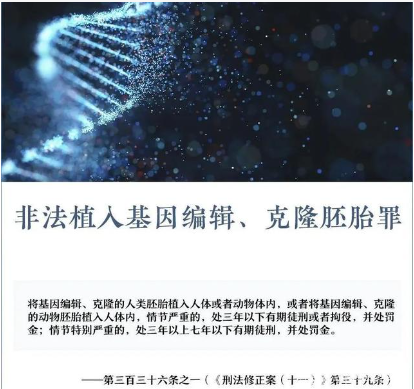非法植入基因编辑、克隆胚胎罪-刑法条目第336条之1