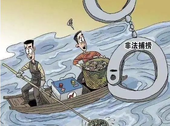 非法捕捞水产品罪-刑法条目第340条
