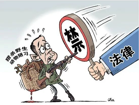 危害珍贵、濒危野生动物罪-刑法条目第341条1款