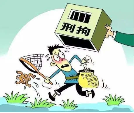 非法狩猎罪-刑法条目第341条2款