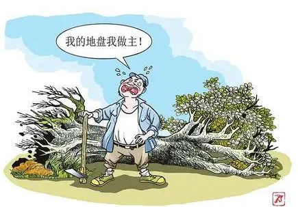 破坏自然保护地罪-刑法条目第342条之1