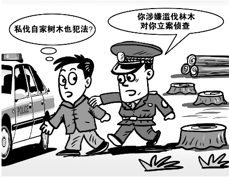 滥伐林木罪-刑法条目第345条2款