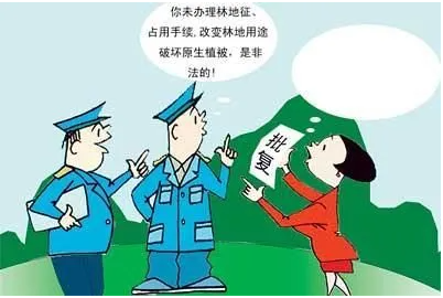 非法收购、运输盗伐、滥伐的林木罪-刑法条目第345条3款