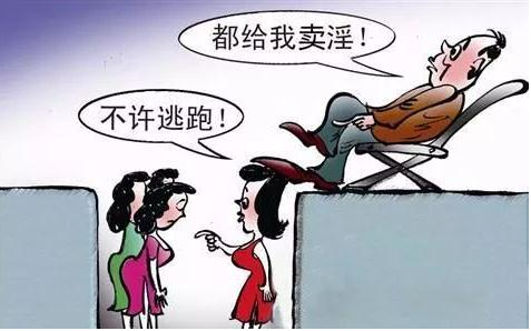 组织卖淫罪-刑法条目第358条1款