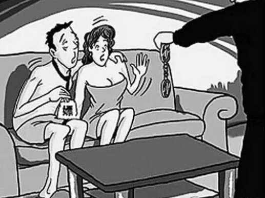 引诱、容留、介绍卖淫罪-刑法条目第359条1款