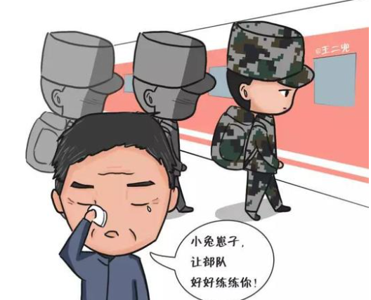 接送不合格兵员罪-刑法条目第374条
