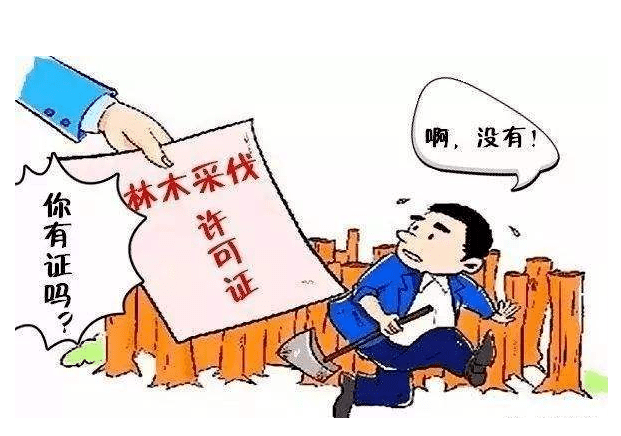 违法发放林木采伐许可证罪--刑法条目第407条