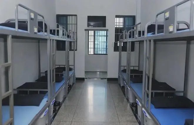 说一说罪犯蓄意进监狱的那些情况